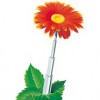 Panolin-blomst Panolin-blomst